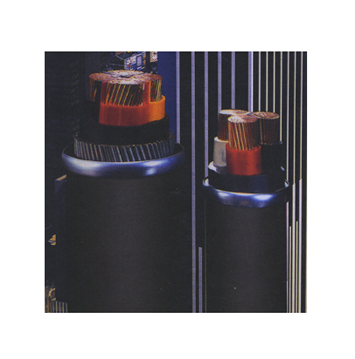 1KV聚氯乙烯绝缘聚氯乙烯护套电力电缆 1KV聚氯乙烯绝缘聚氯乙烯护套电力电缆